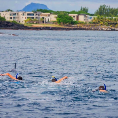 Swimming with dolphins in Tamarin Bay