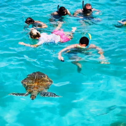 Swimming with turtles in Mauritius