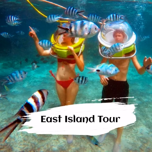 East Island Tour