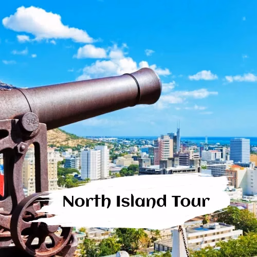 north island tour