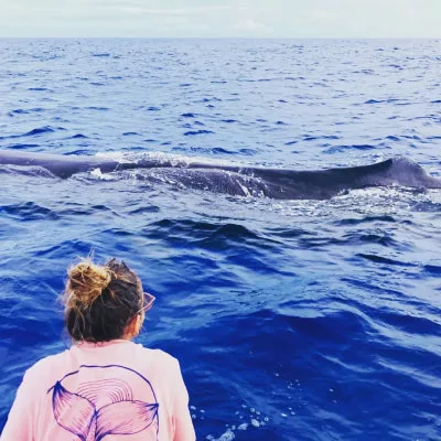 Humpback whale in the Indian Ocean