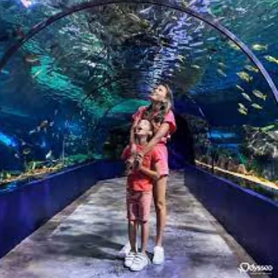 Colorful fish at Odysseo Oceanarium in Mauritius