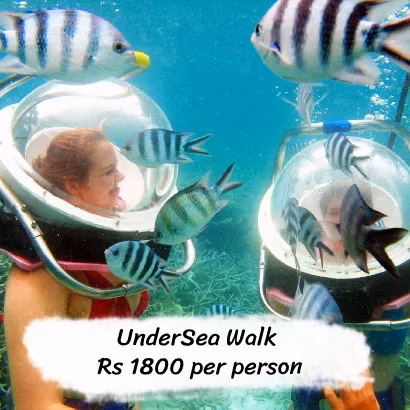 Undersea walk with fishes