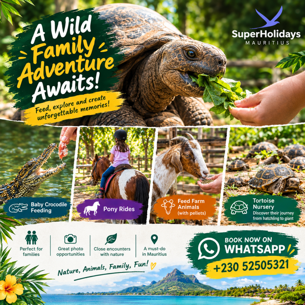 Super Holidays | Home