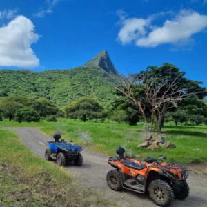 Double Quad bike at safari casela