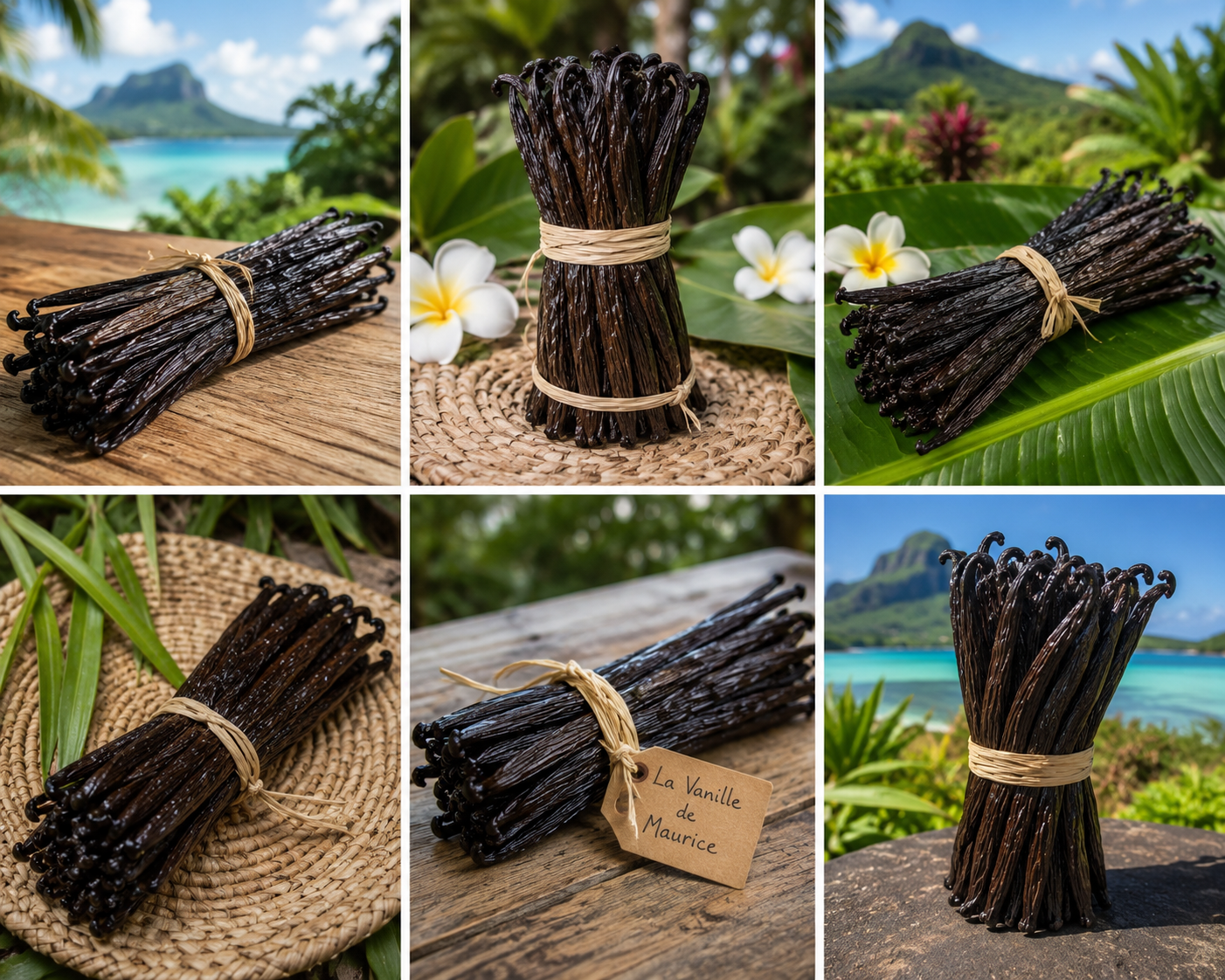 Bundles of dark brown vanilla beans tied with natural fiber string, shown in various tropical outdoor settings